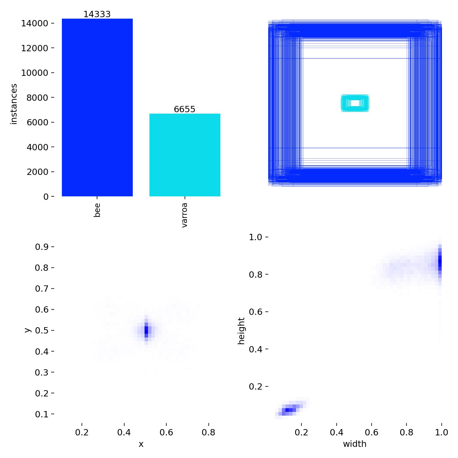 Label distribution and bounding box analysis