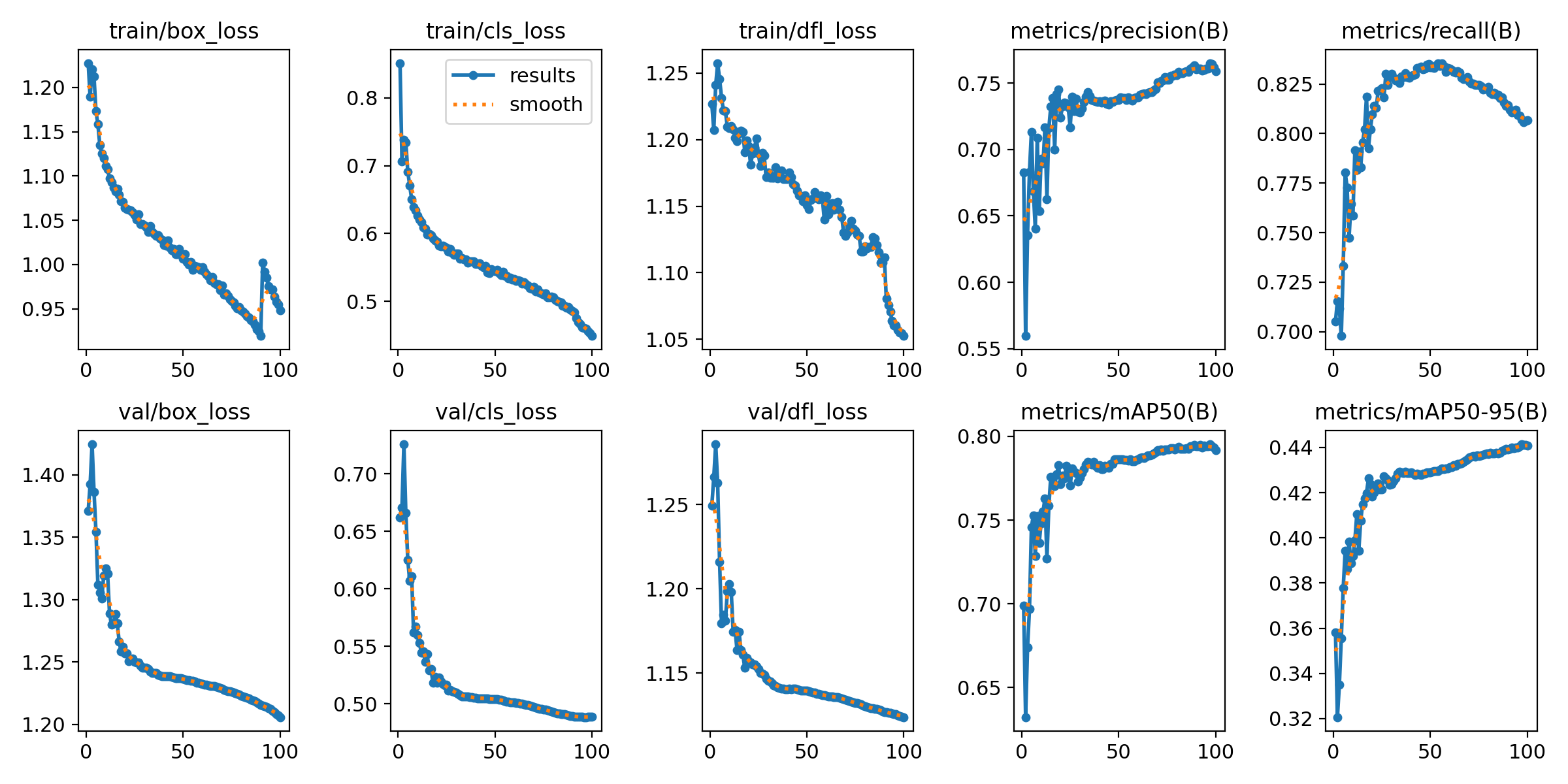 Training Progress Curves